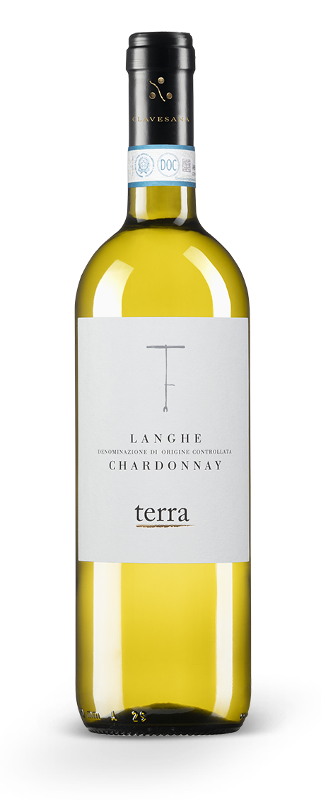 Langhe DOC Chardonnay - Line Terra - Cantina Clavesana